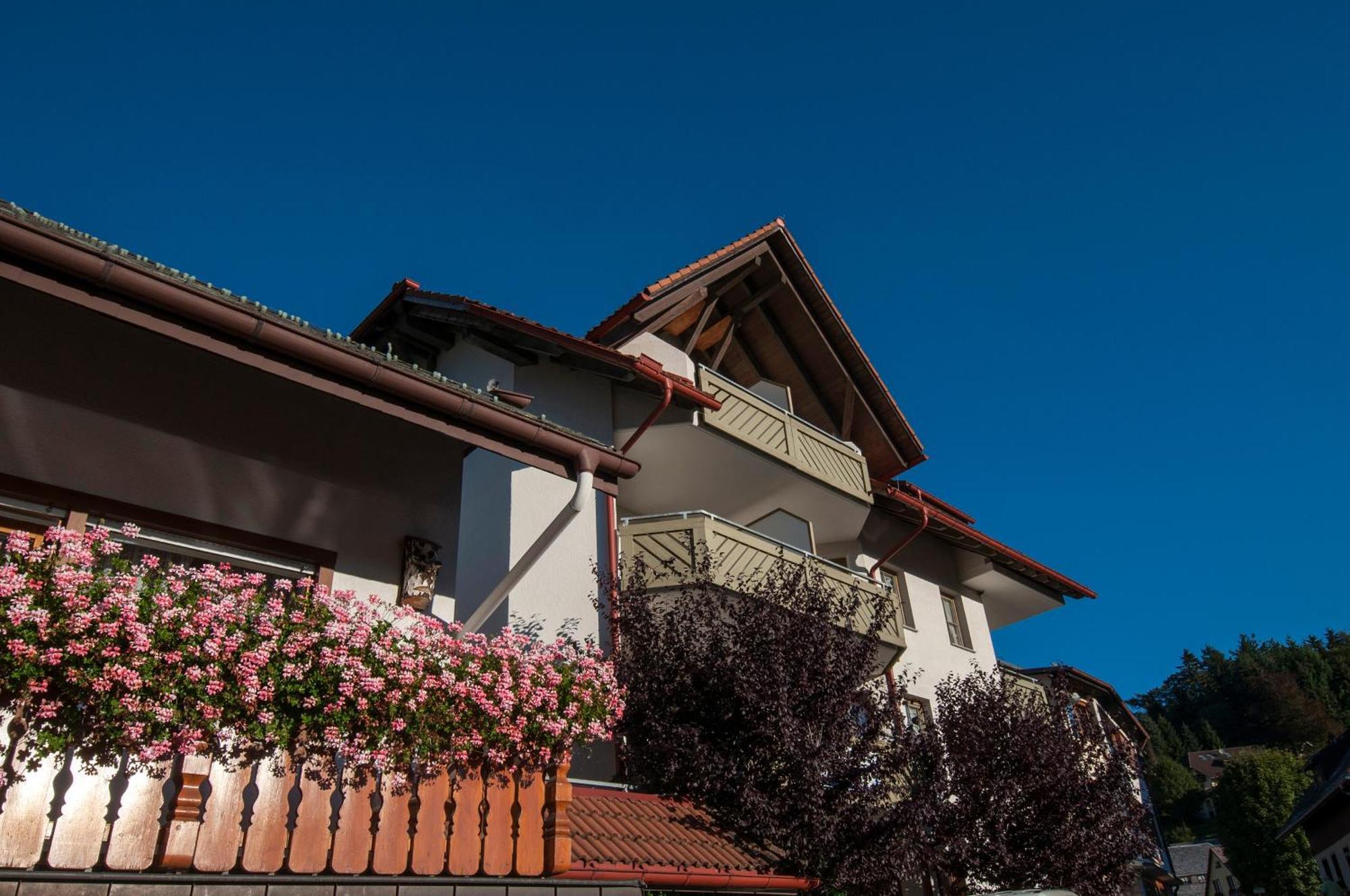 Apartment 13 - Ferienresidenz Roseneck, Mit Schwimmbad In Todtnauberg Bei Feldberg Exterior photo
