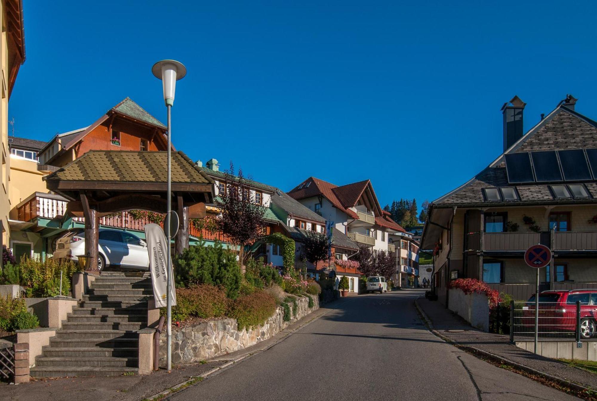 Apartment 13 - Ferienresidenz Roseneck, Mit Schwimmbad In Todtnauberg Bei Feldberg Exterior photo